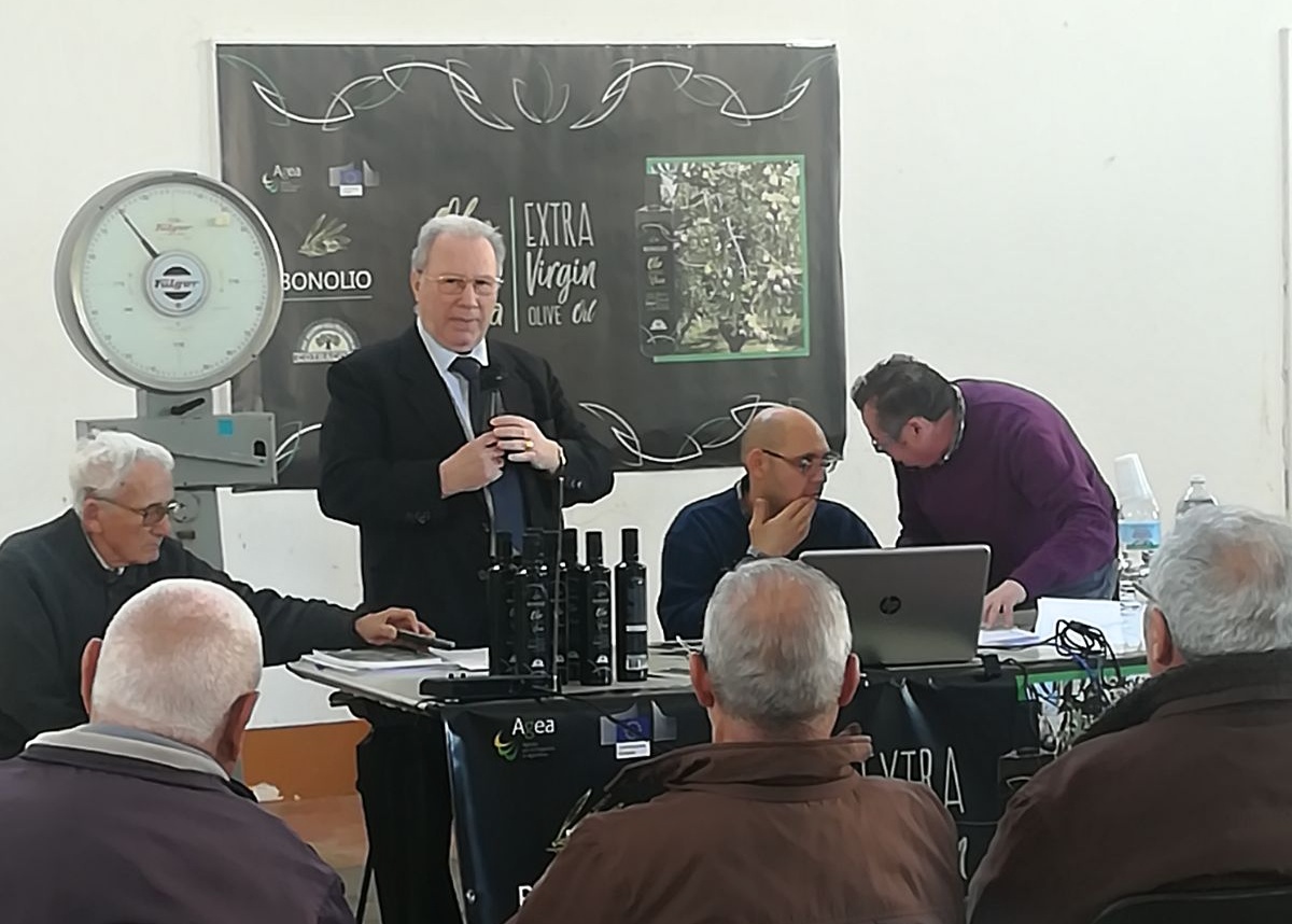 28/03/2018 Noha – Presentazione al pubblico dei contenuti e dei risultati raggiunti nel triennio progettuale.